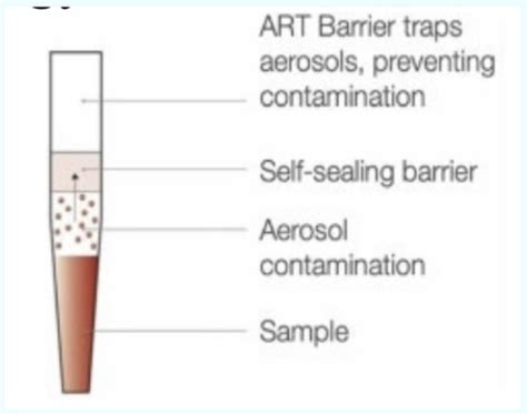 pipetting technique flashcards